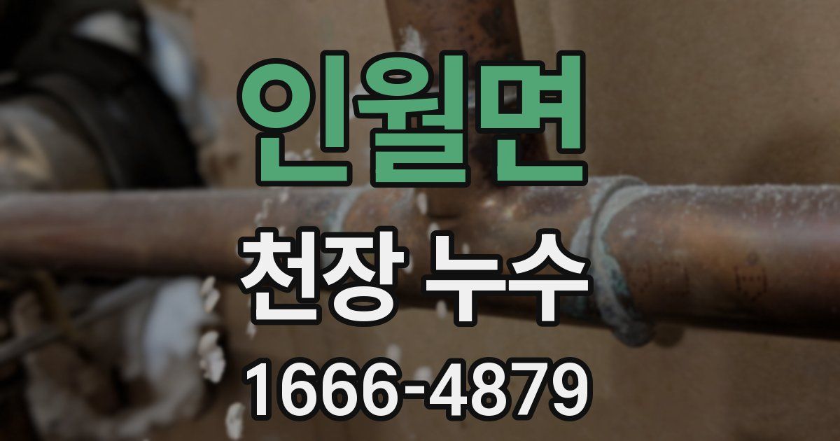 인월면 천장 누수