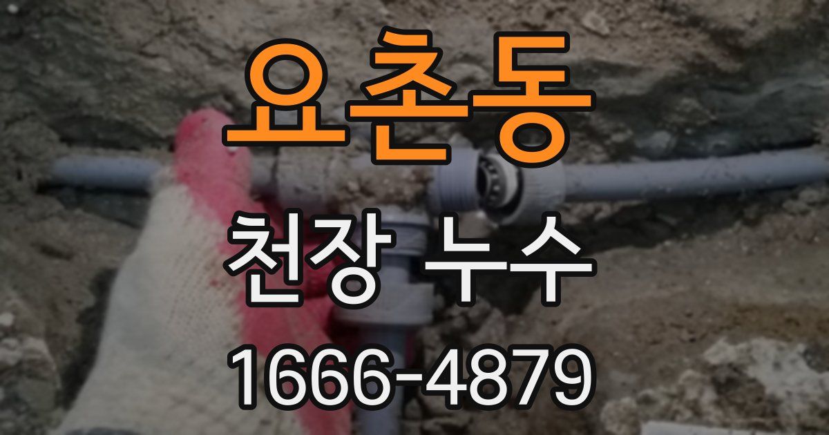 요촌동 천장 누수