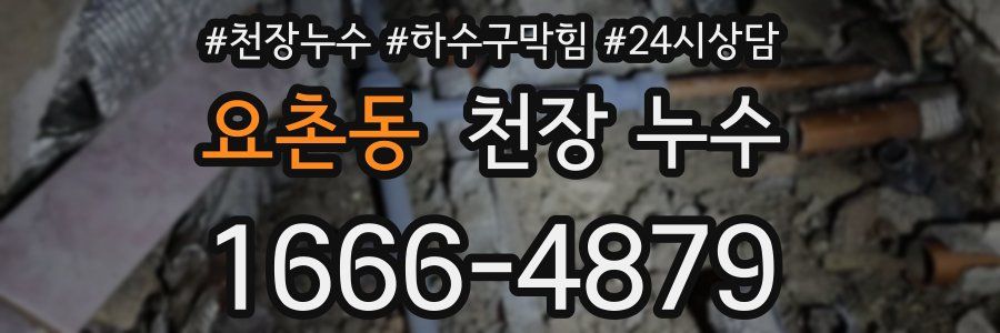 요촌동 천장 누수