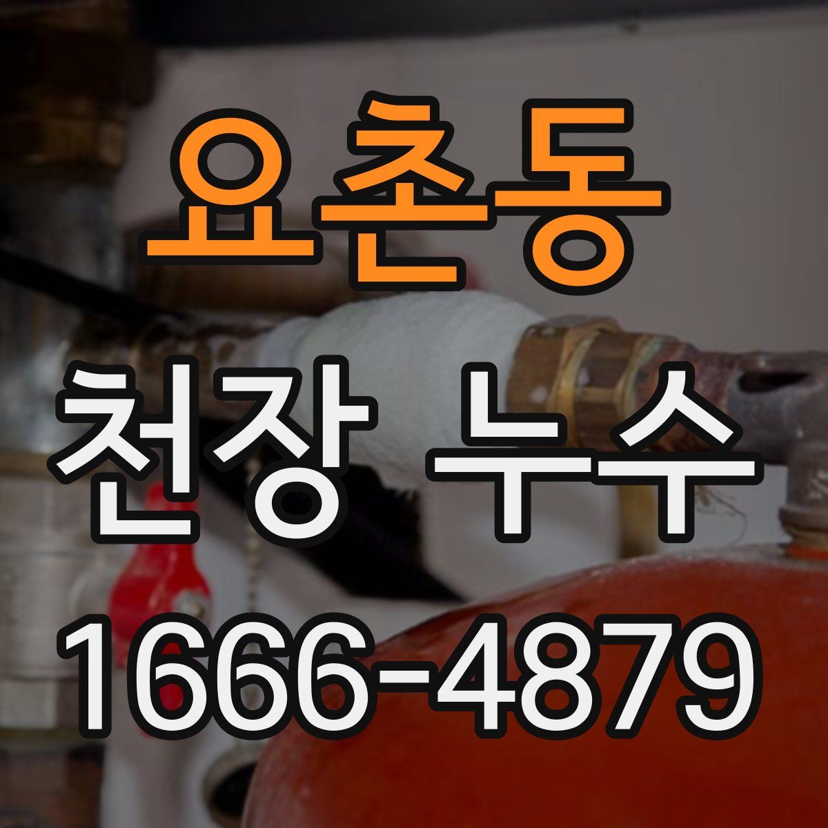 요촌동 천장 누수