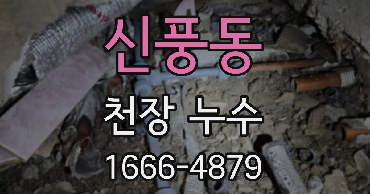 신풍동 천장 누수