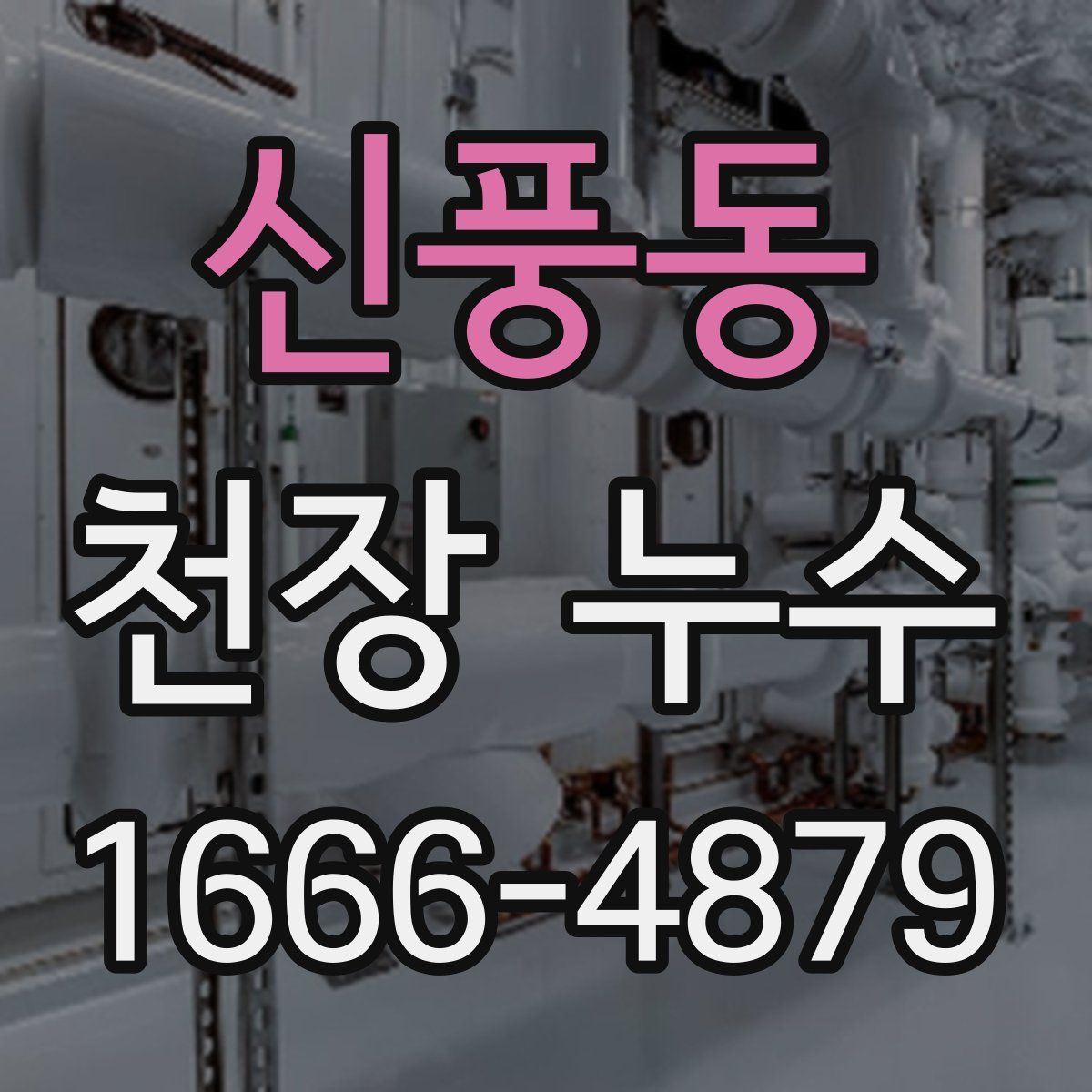 신풍동 천장 누수