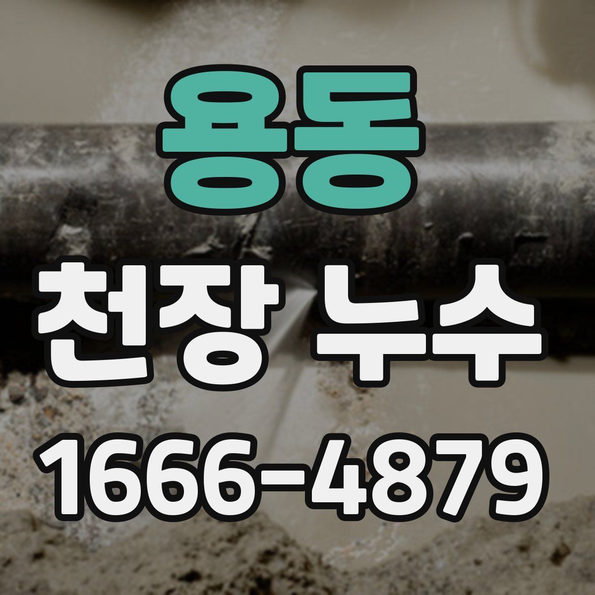 용동 천장 누수