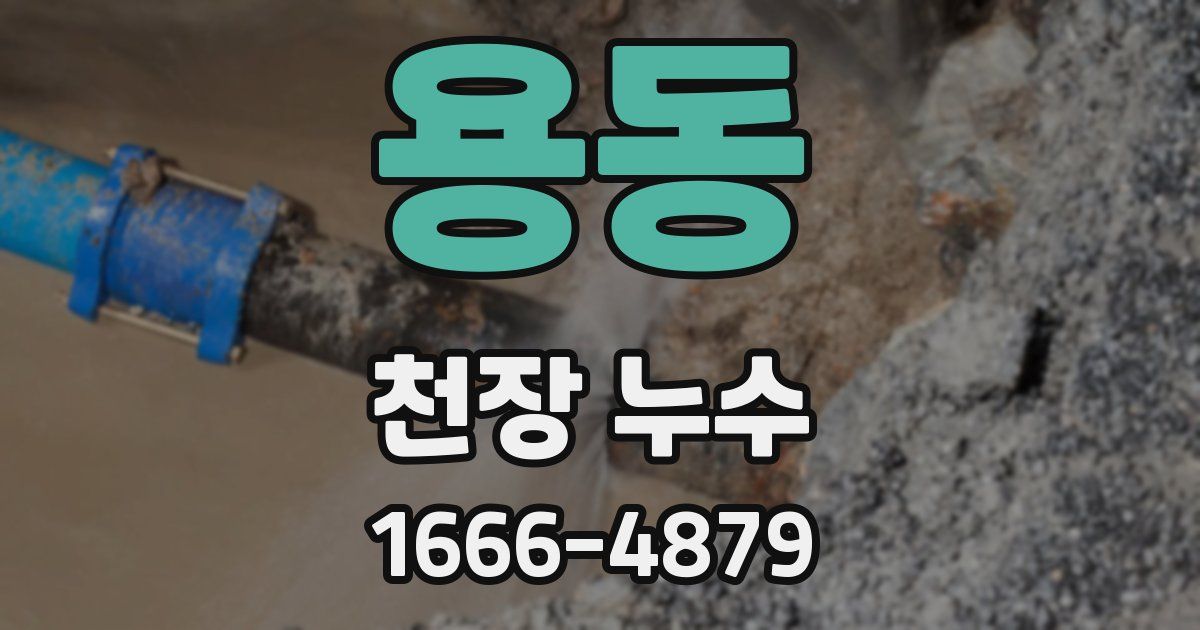 용동 천장 누수