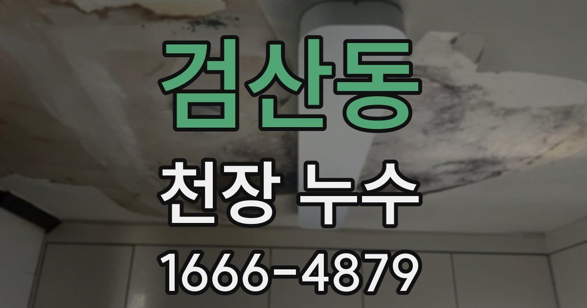 검산동 천장 누수