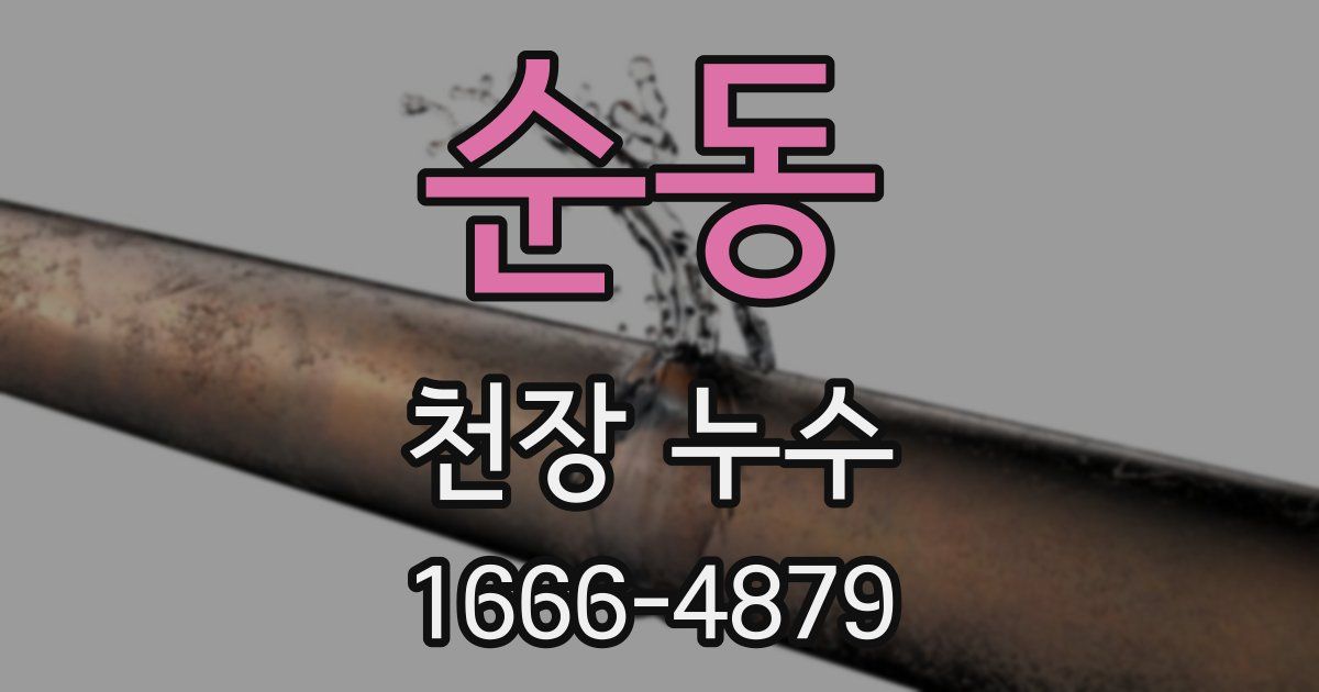 순동 천장 누수