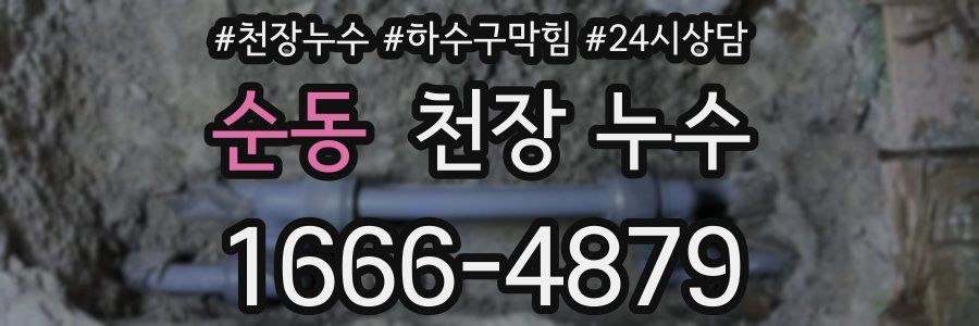 순동 천장 누수