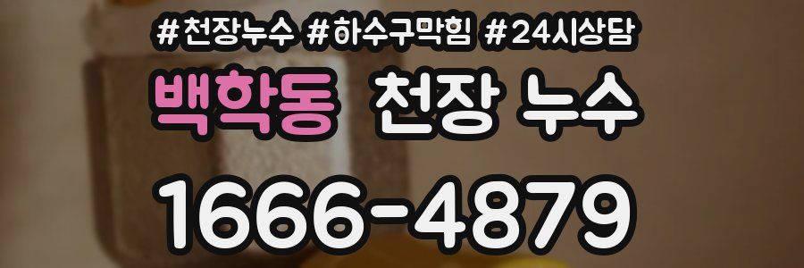 백학동 천장 누수