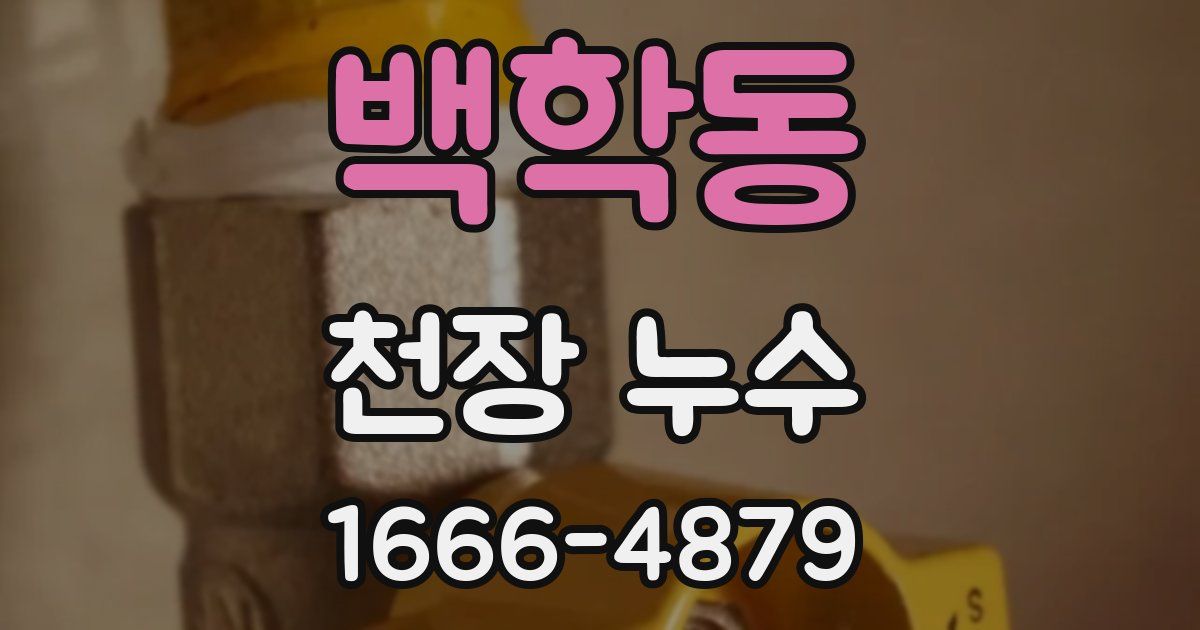 백학동 천장 누수