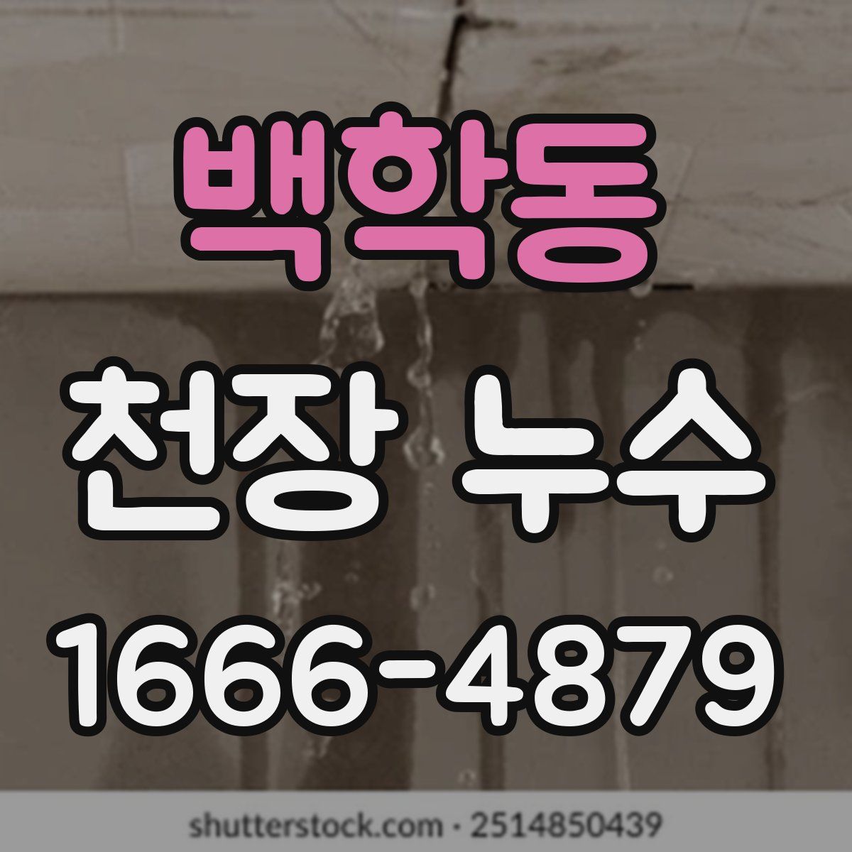 백학동 천장 누수