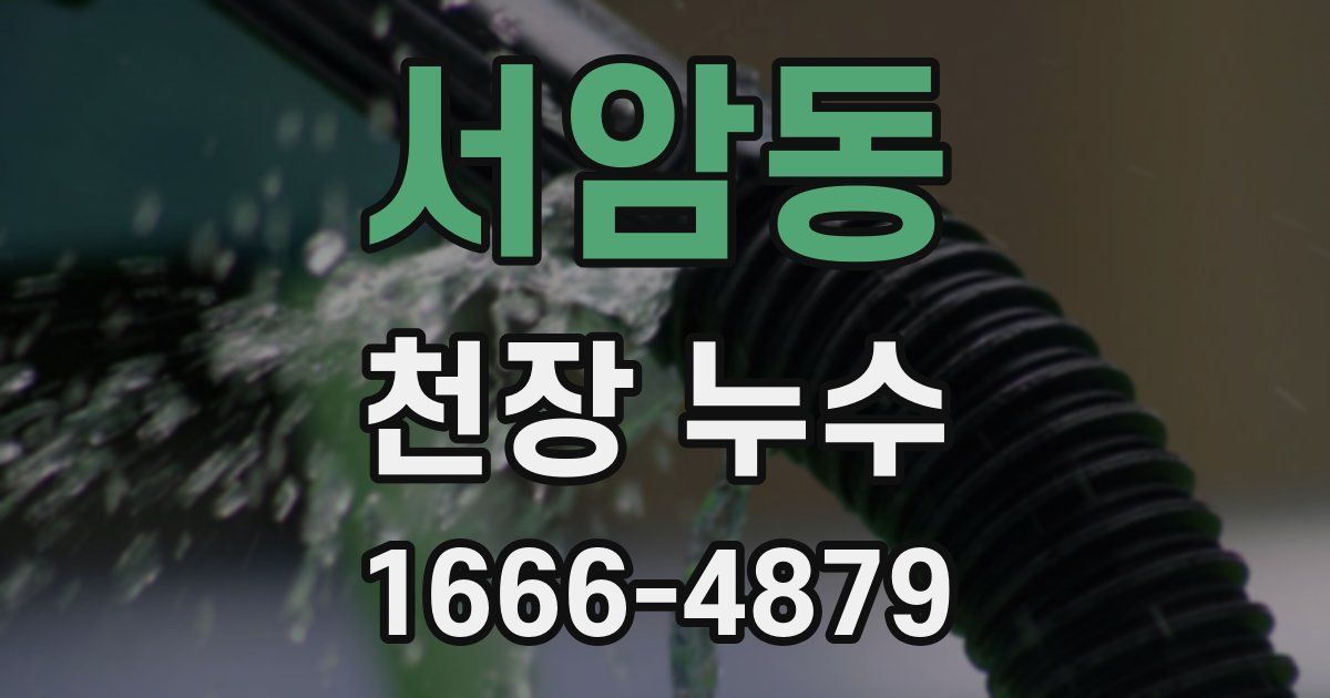 서암동 천장 누수