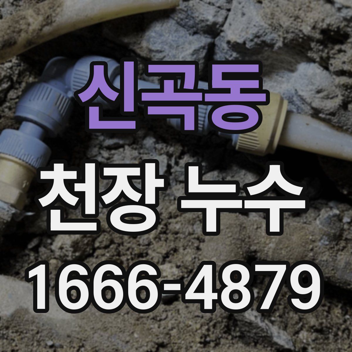 신곡동 천장 누수