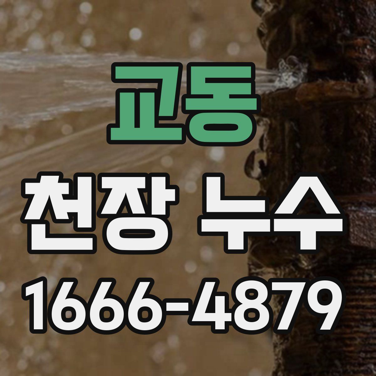 교동 천장 누수