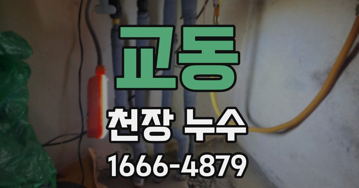 교동 천장 누수