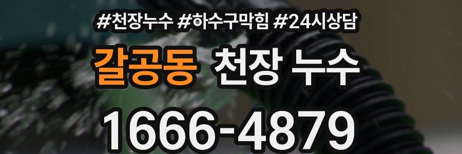 갈공동 천장 누수