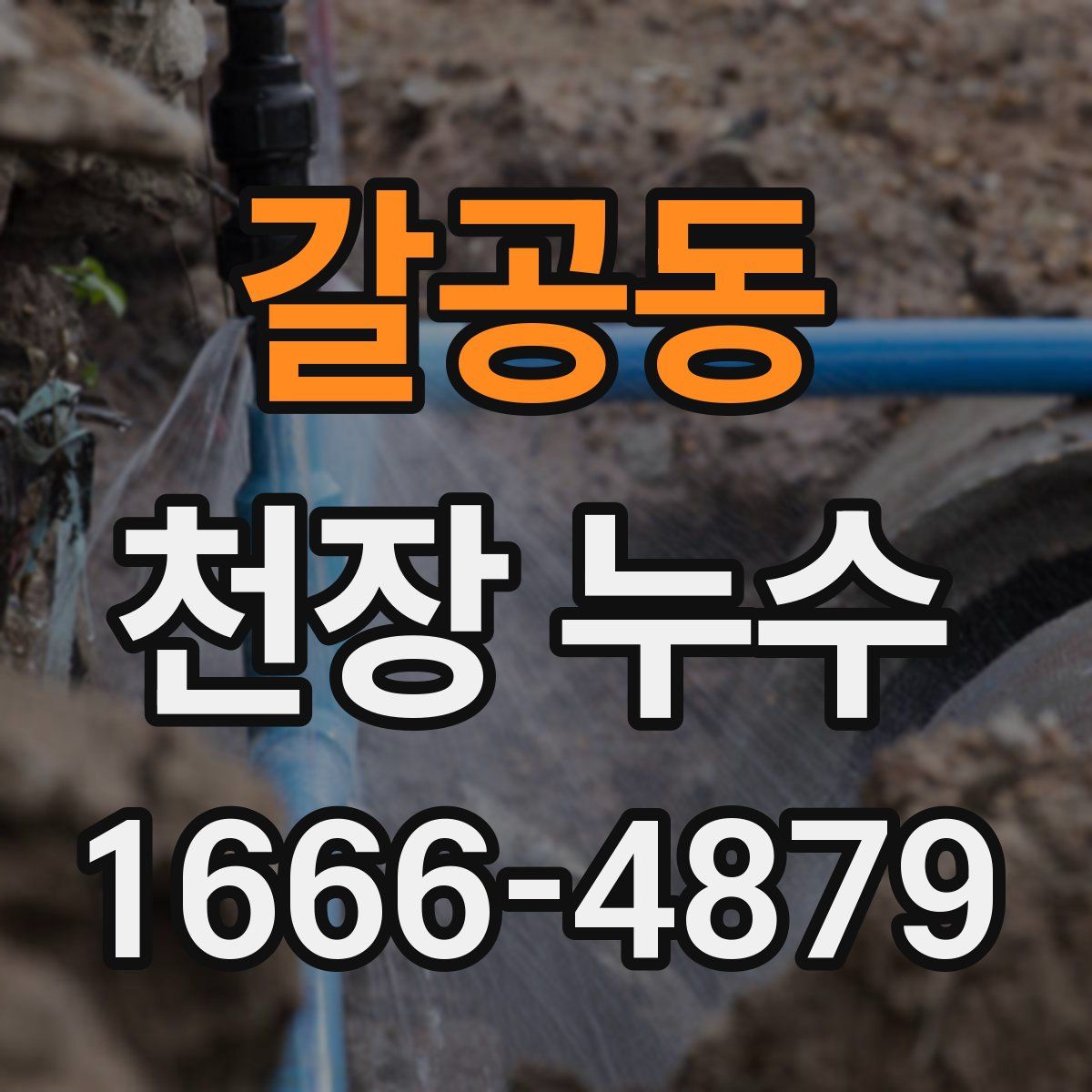 갈공동 천장 누수