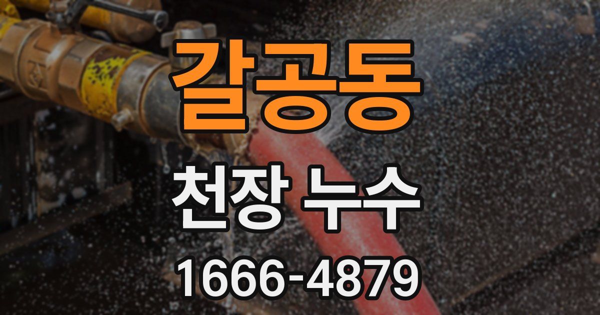 갈공동 천장 누수