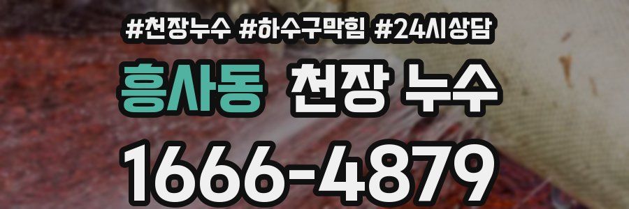 흥사동 천장 누수