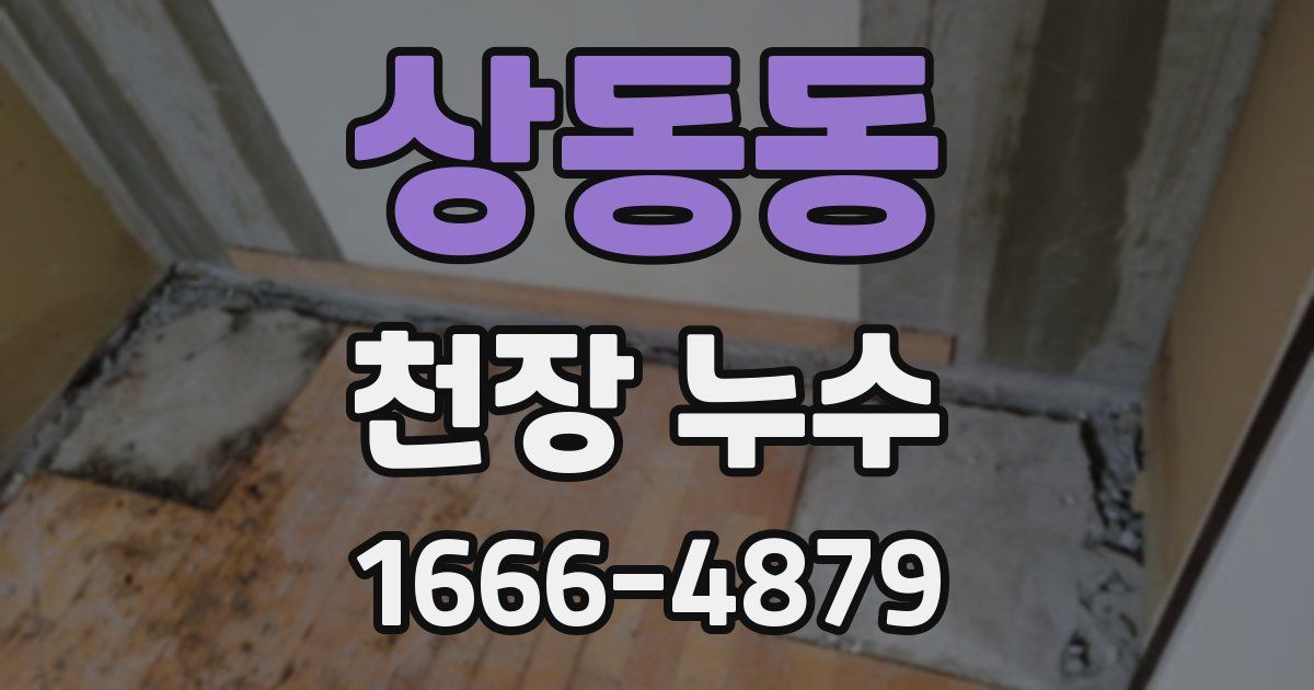 상동동 천장 누수