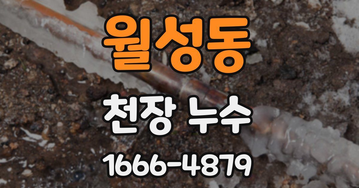 월성동 천장 누수