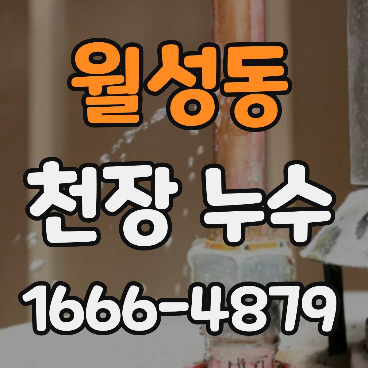 월성동 천장 누수