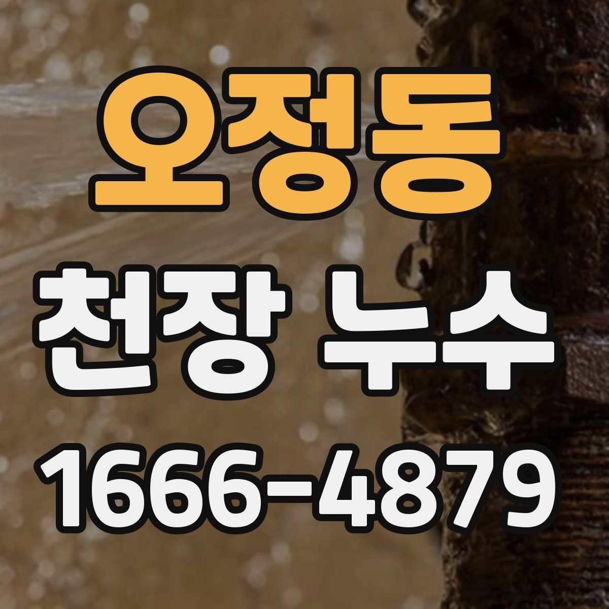 오정동 천장 누수