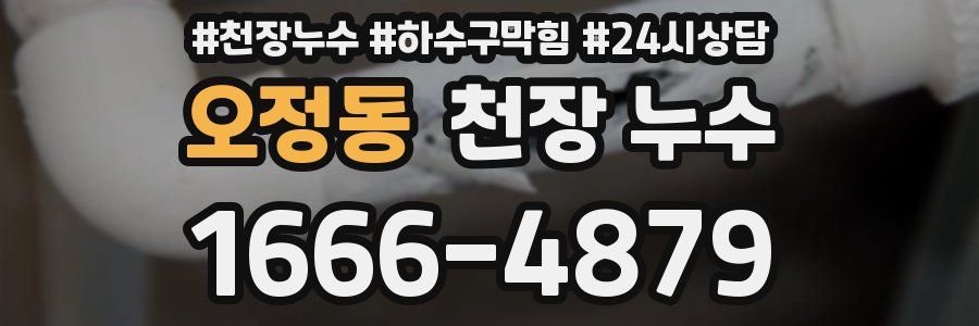 오정동 천장 누수