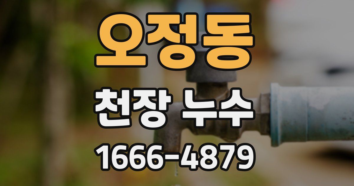 오정동 천장 누수