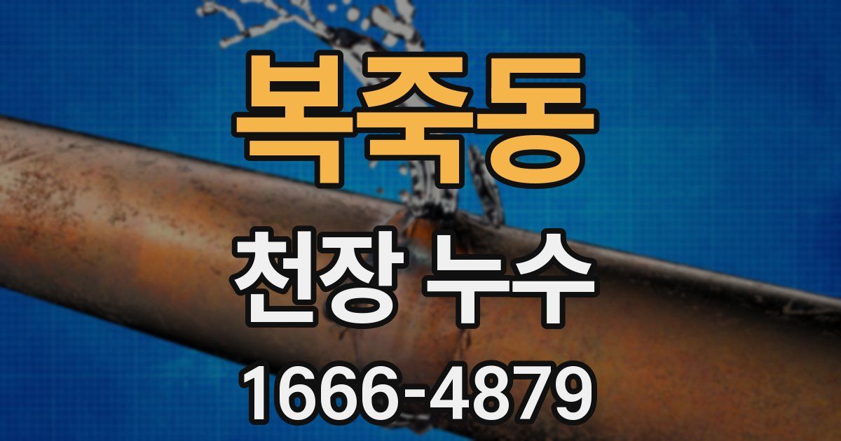 복죽동 천장 누수