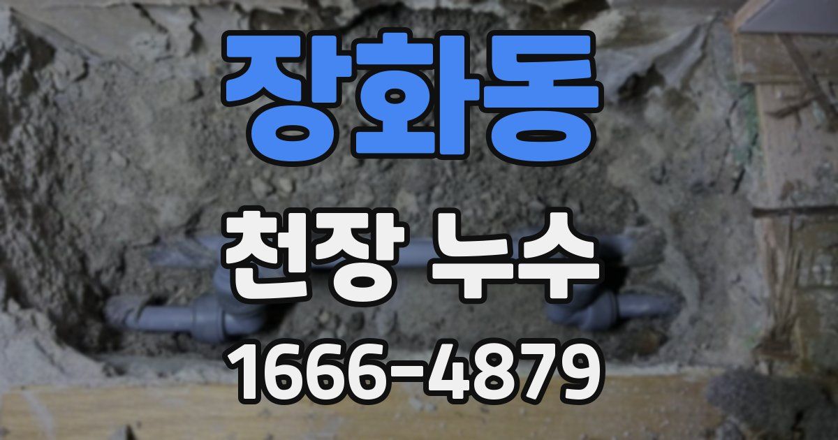 장화동 천장 누수