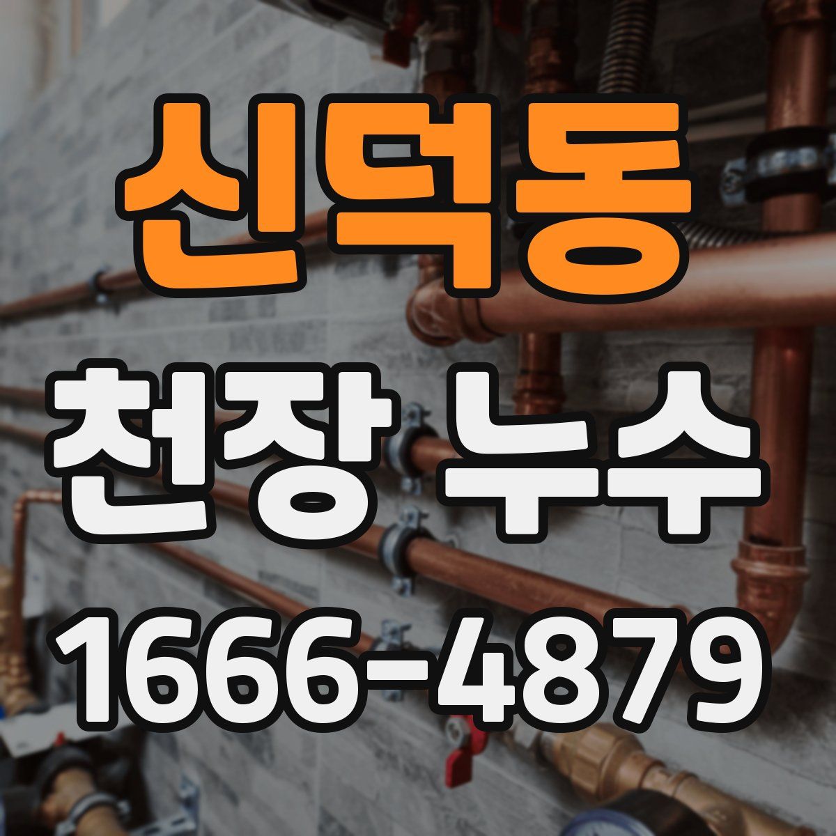 신덕동 천장 누수