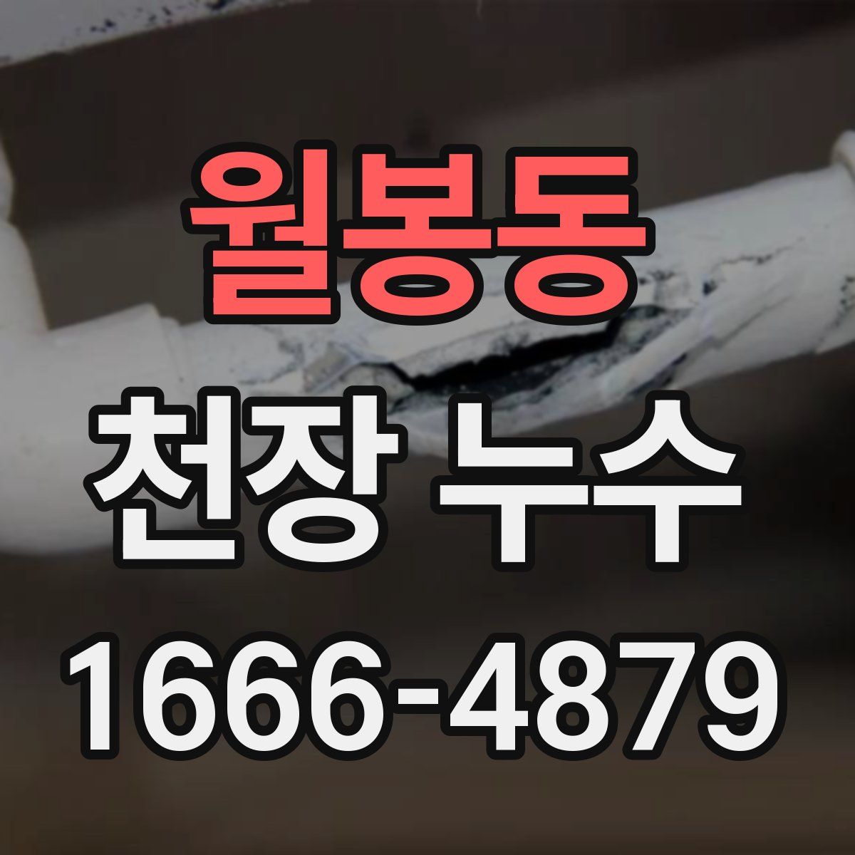 월봉동 천장 누수