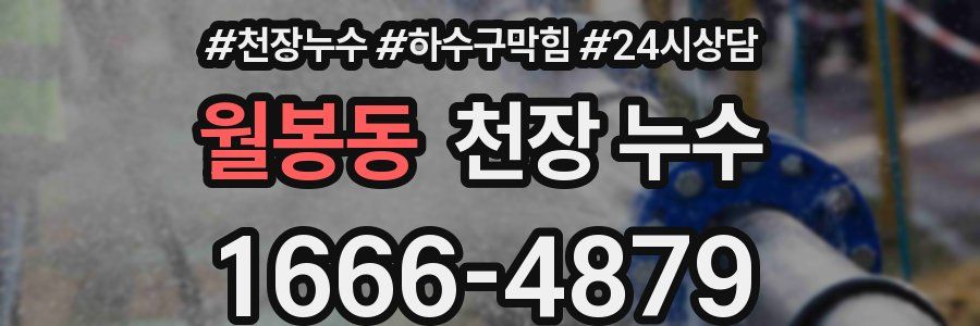 월봉동 천장 누수