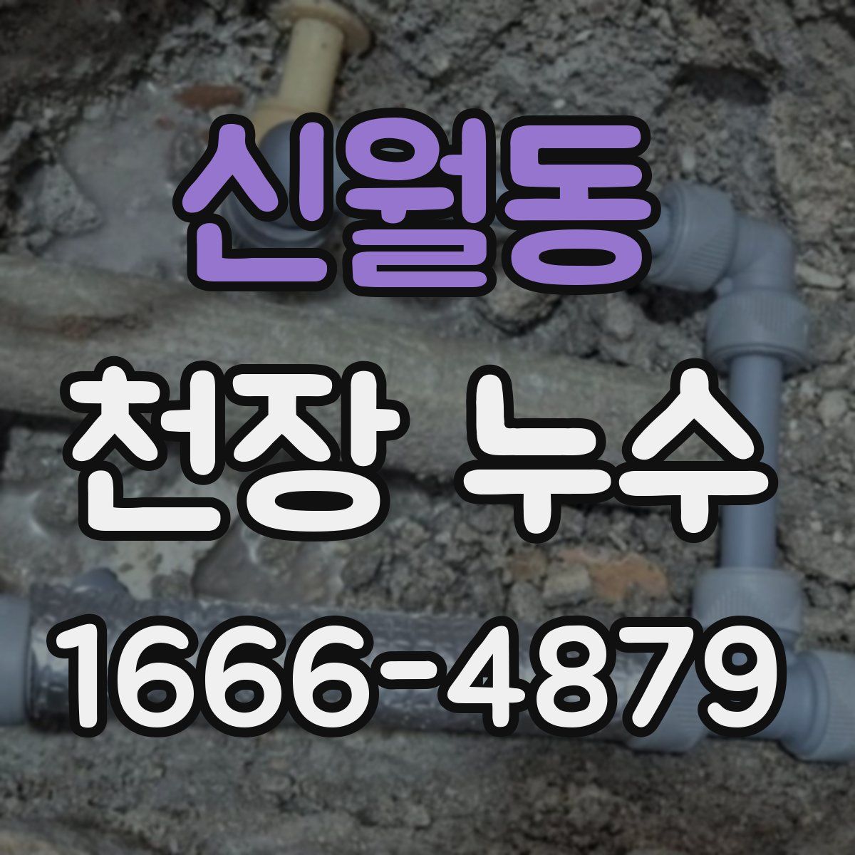 신월동 천장 누수