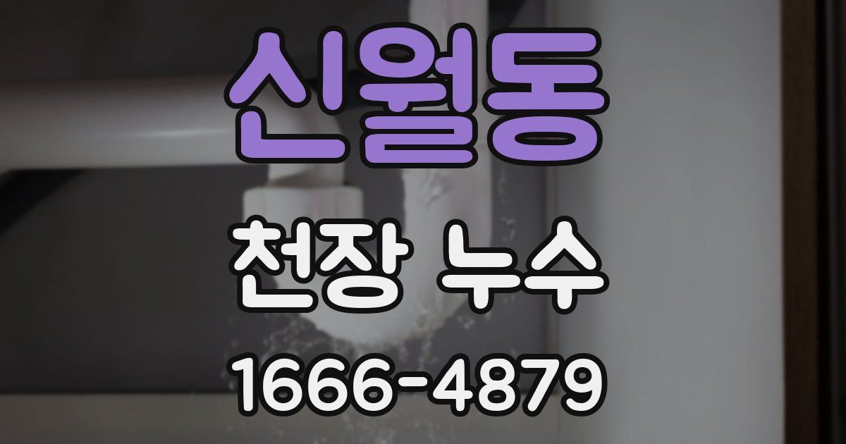 신월동 천장 누수
