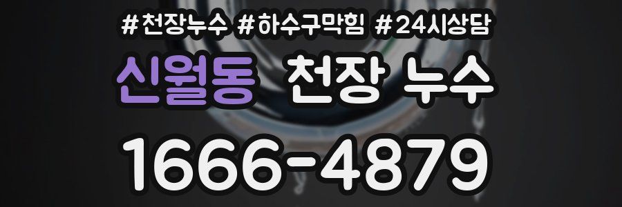 신월동 천장 누수