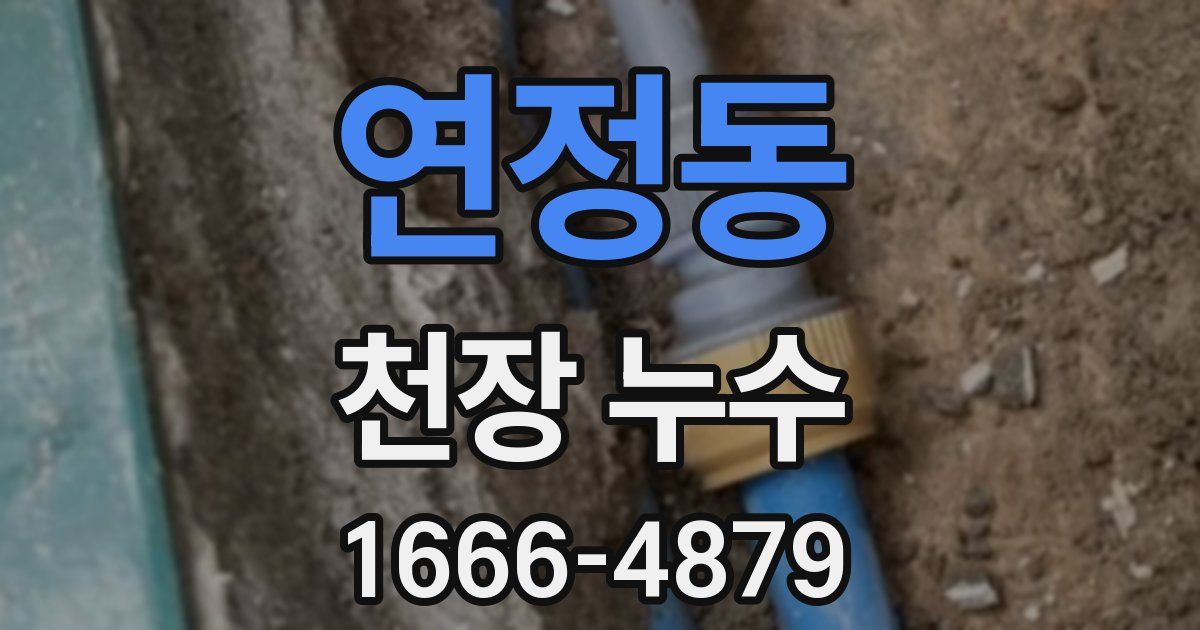 연정동 천장 누수