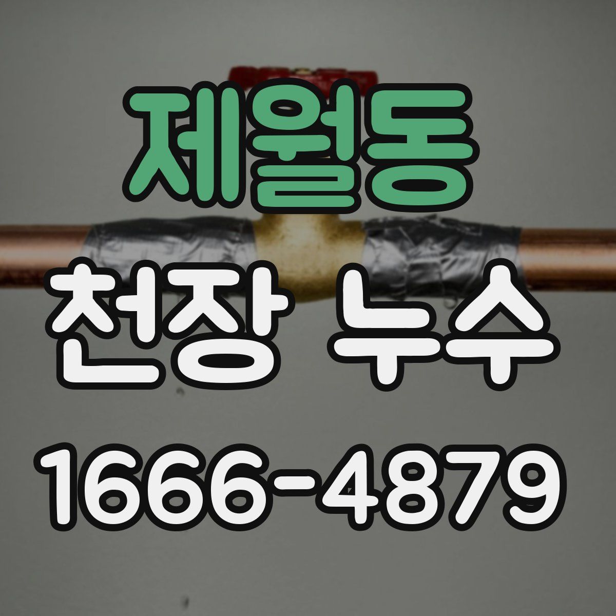 제월동 천장 누수