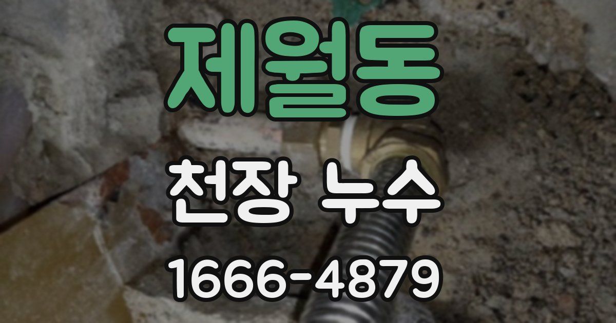 제월동 천장 누수