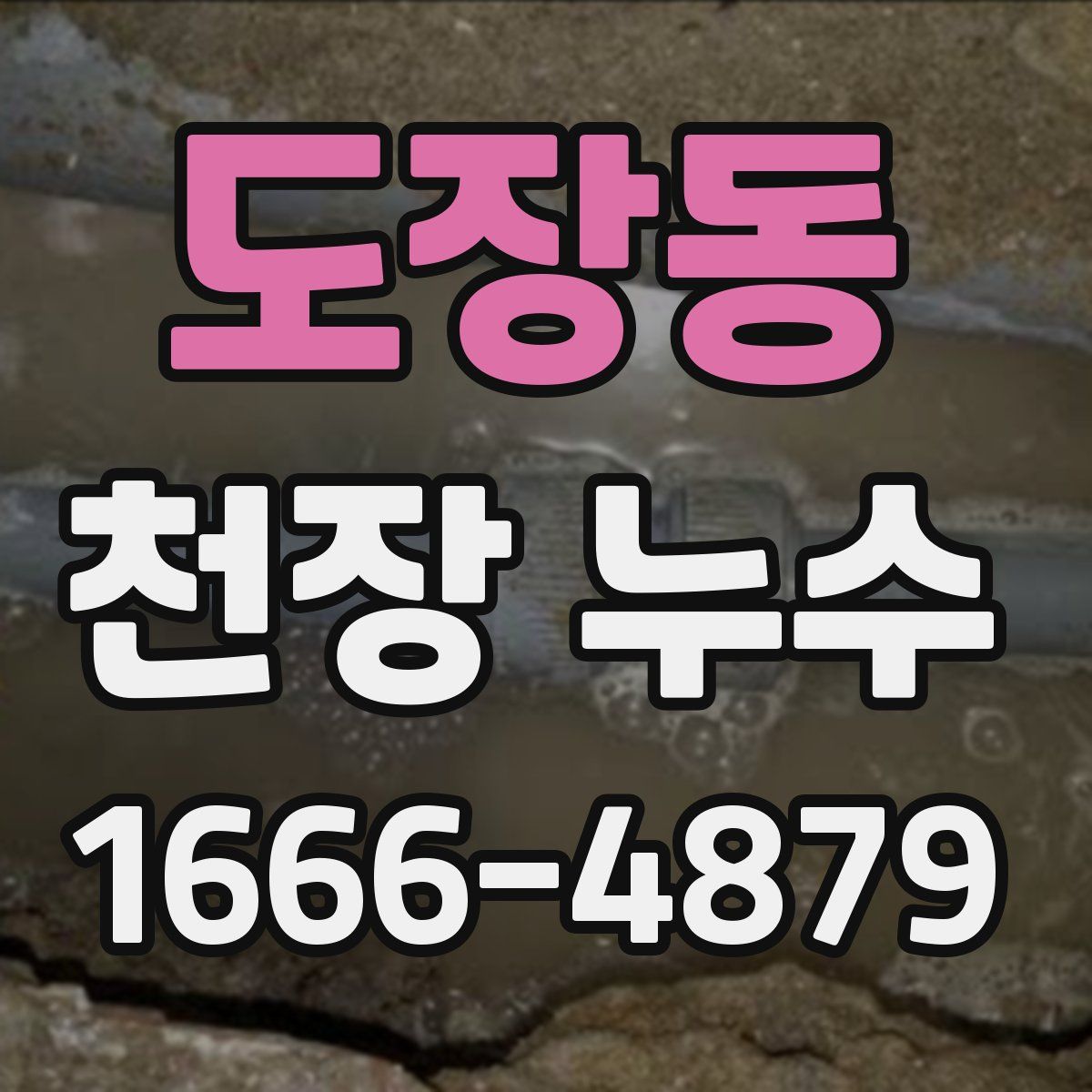 도장동 천장 누수