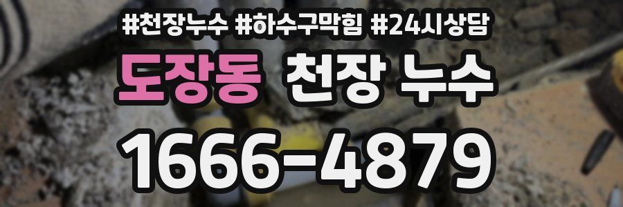 도장동 천장 누수