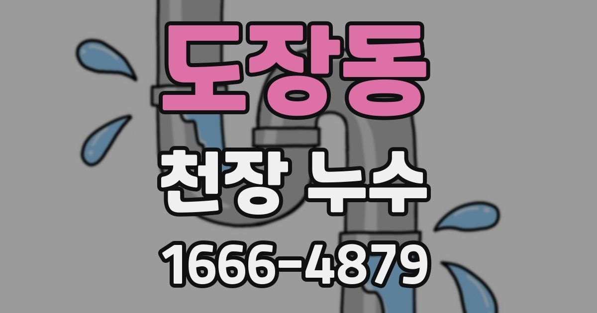 도장동 천장 누수