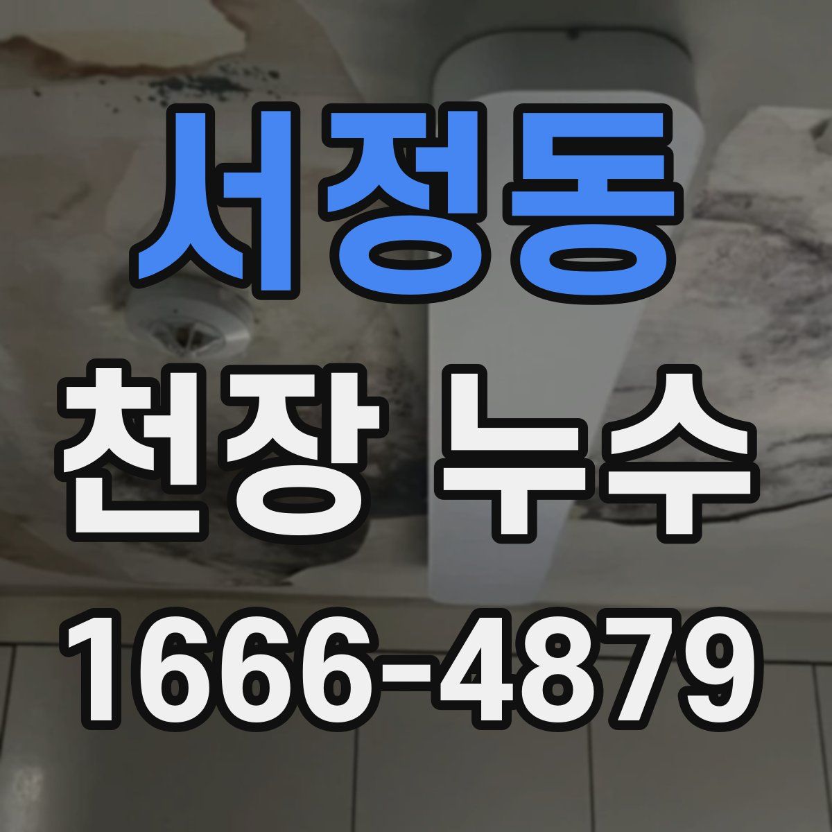 서정동 천장 누수