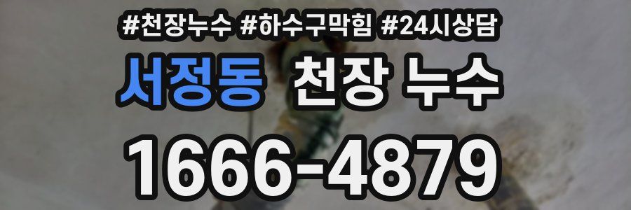 서정동 천장 누수