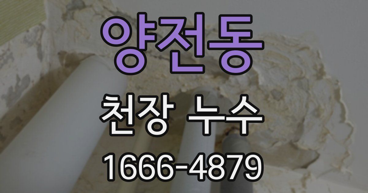 양전동 천장 누수