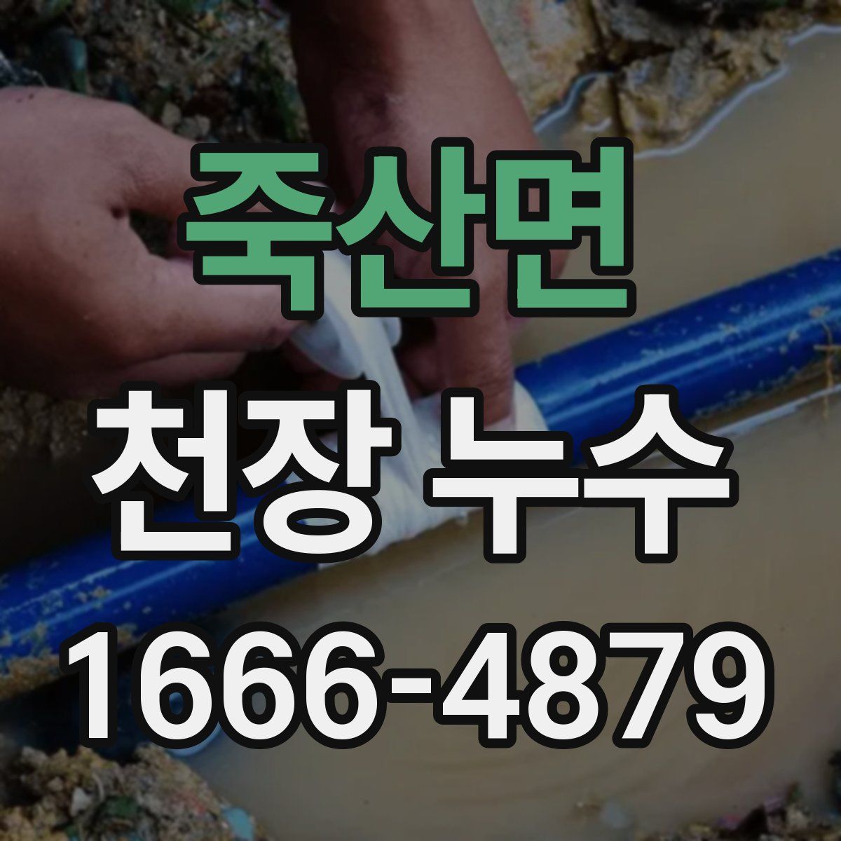 죽산면 천장 누수