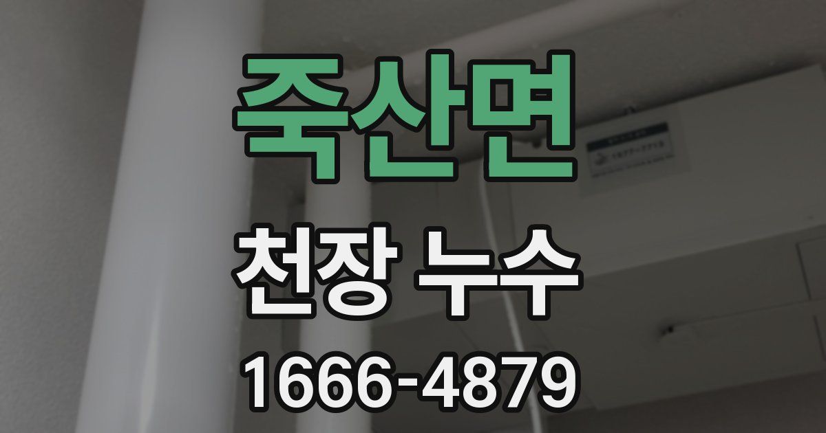 죽산면 천장 누수