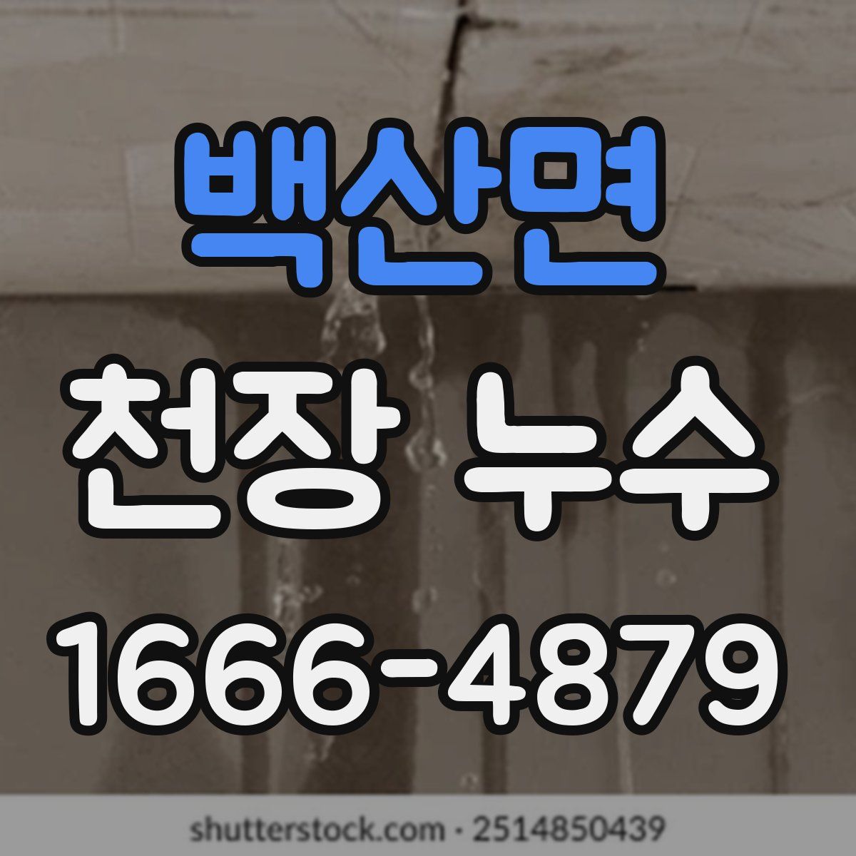 백산면 천장 누수