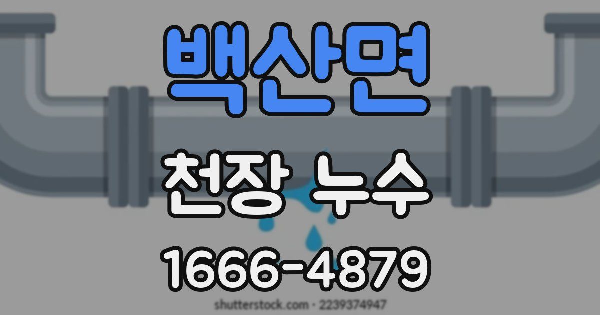 백산면 천장 누수