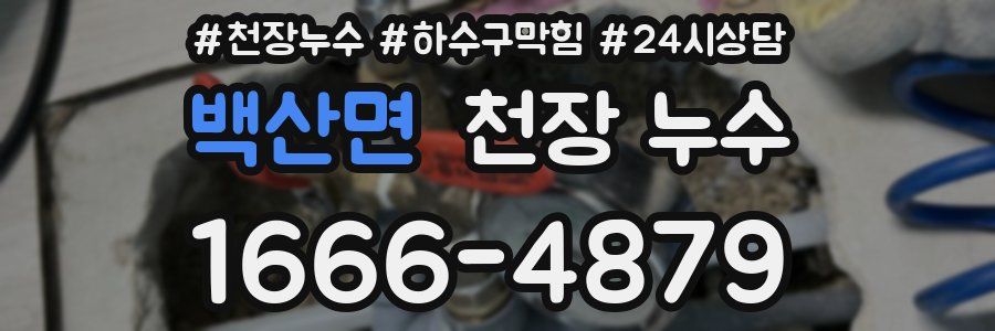 백산면 천장 누수